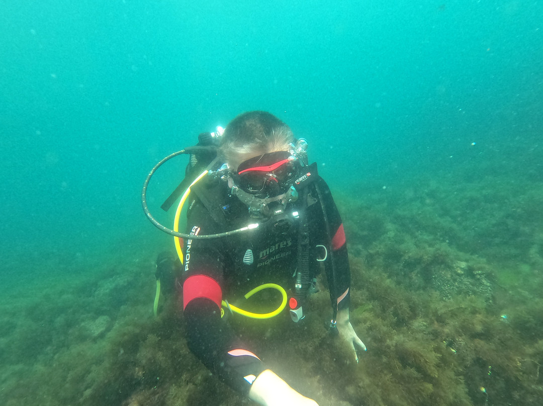 Sub Diving-索佐波尔必去景点