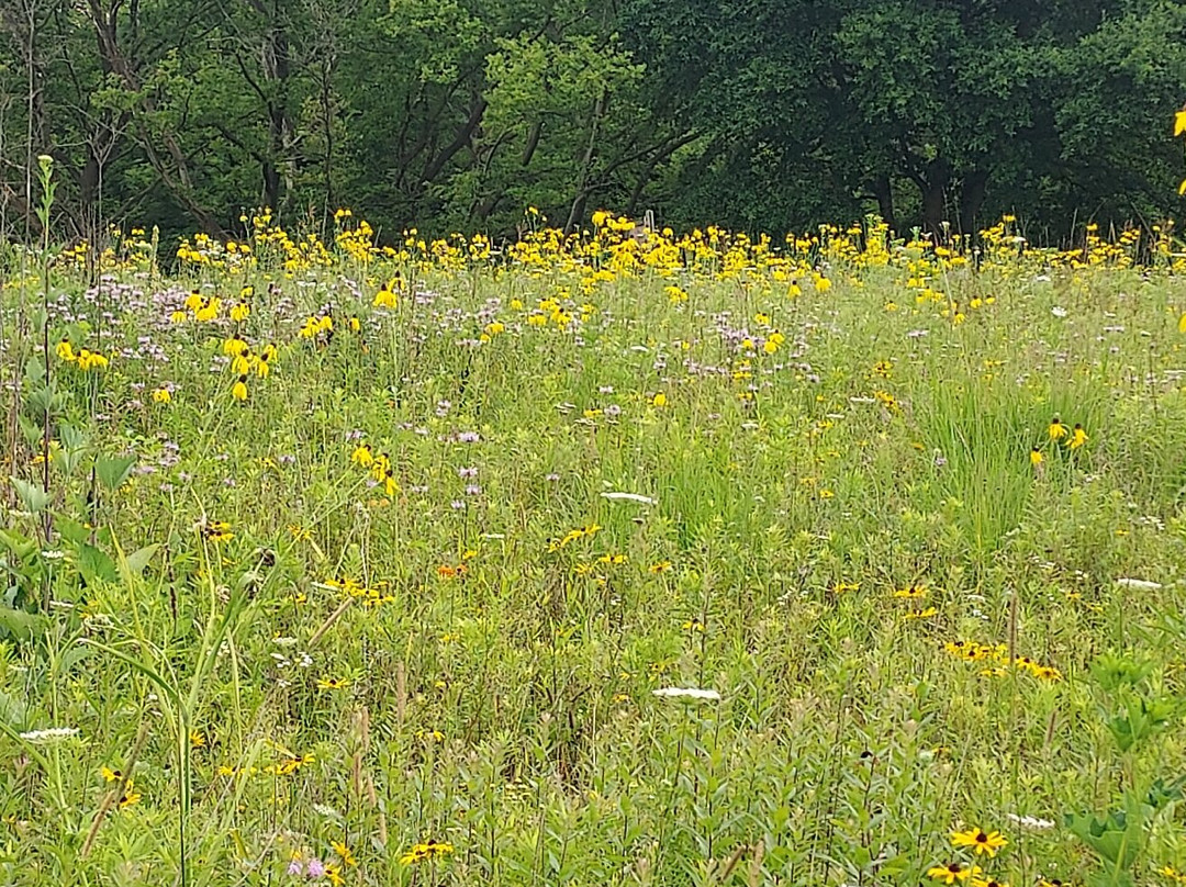 Kalamazoo Nature Center-卡拉马祖县必去景点