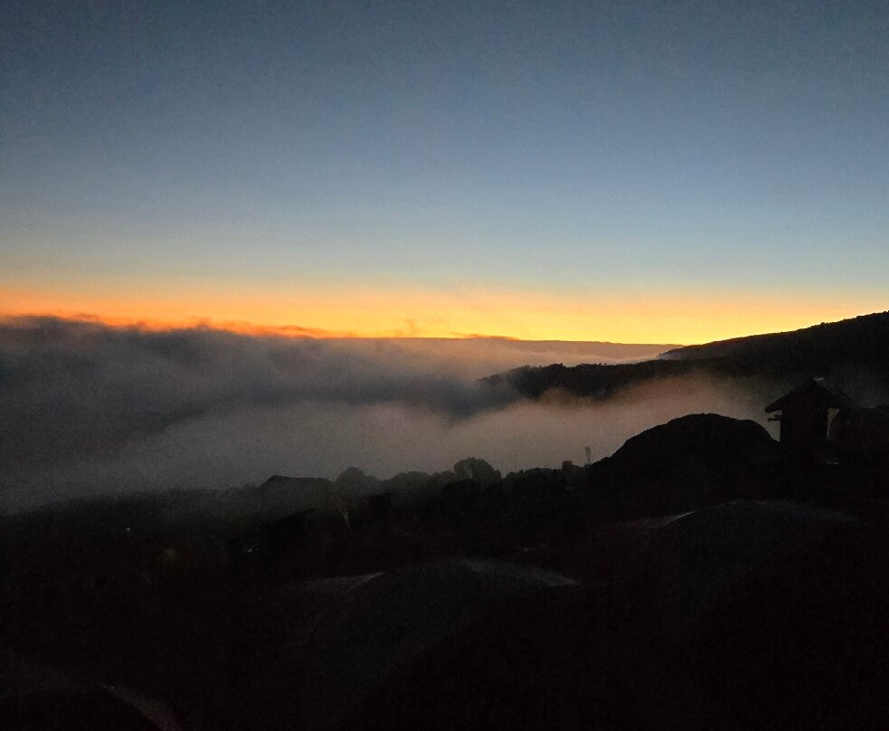 Dotcom Safaris Ltd-莫西必去景点