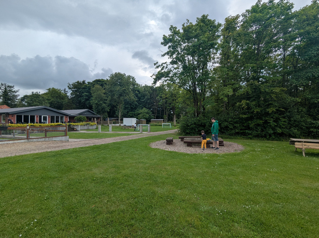 Loasen Vesterhede主图