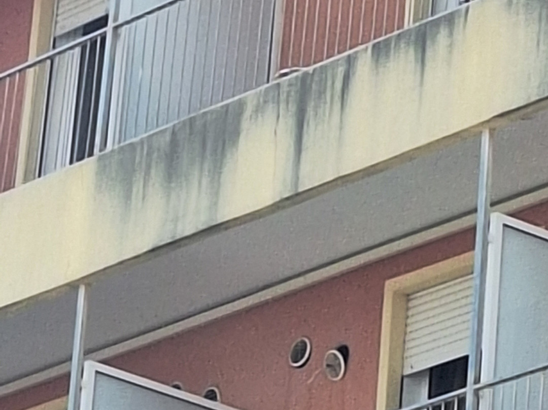 Hotel Columbus主图