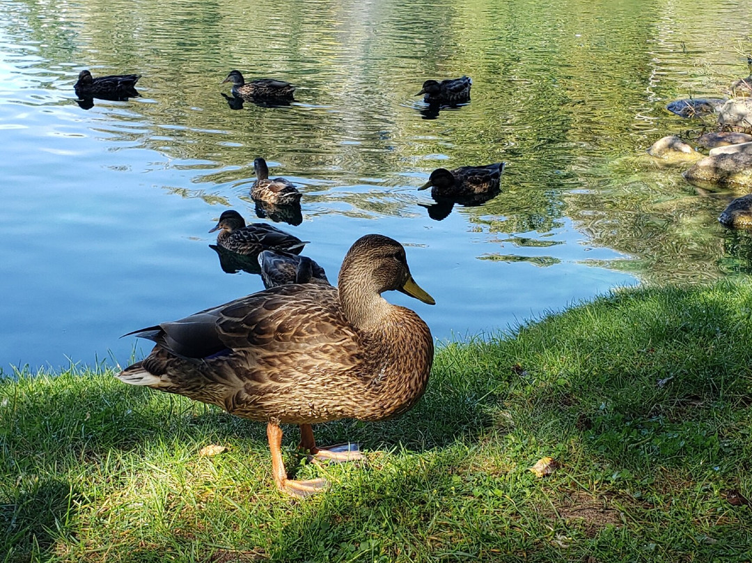 Castle Farms-夏洛瓦必去景点