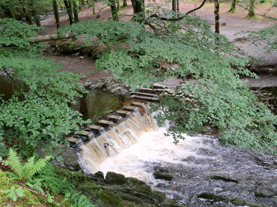 Tollymore Forest Park-纽卡斯尔必去景点