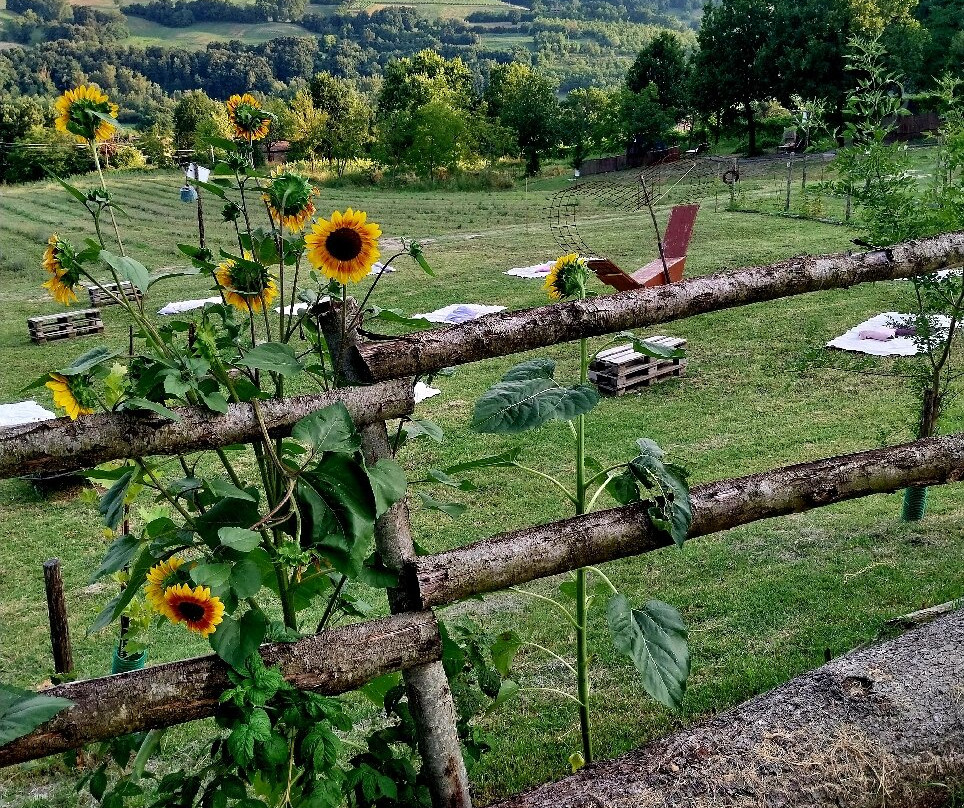 Azienda Agricola Valtresinaro-Viano必去景点