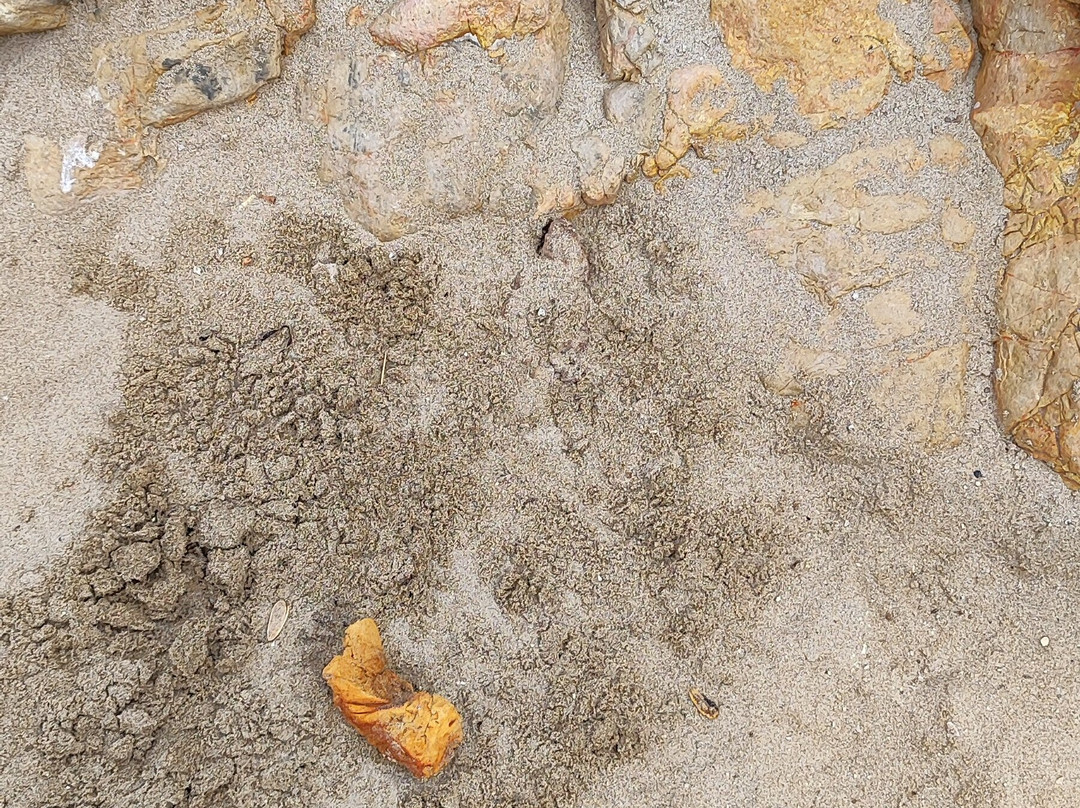 Playa de lenguadillos-萨洛必去景点