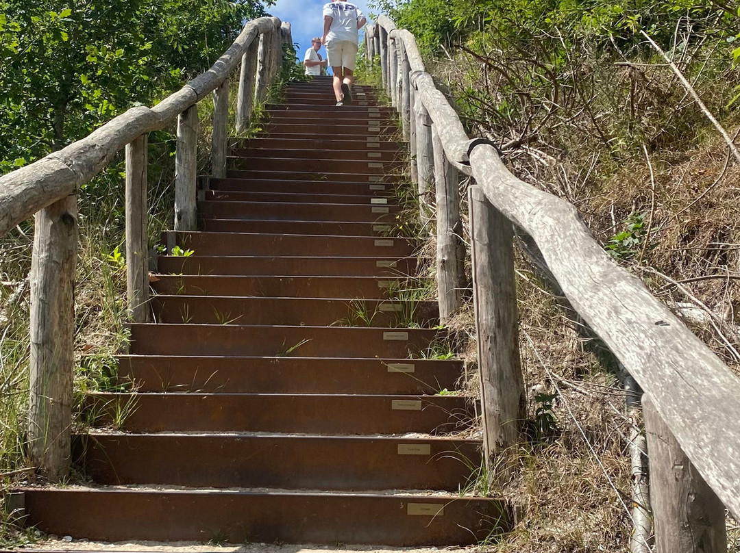 Klimduin-Schoorl必去景点