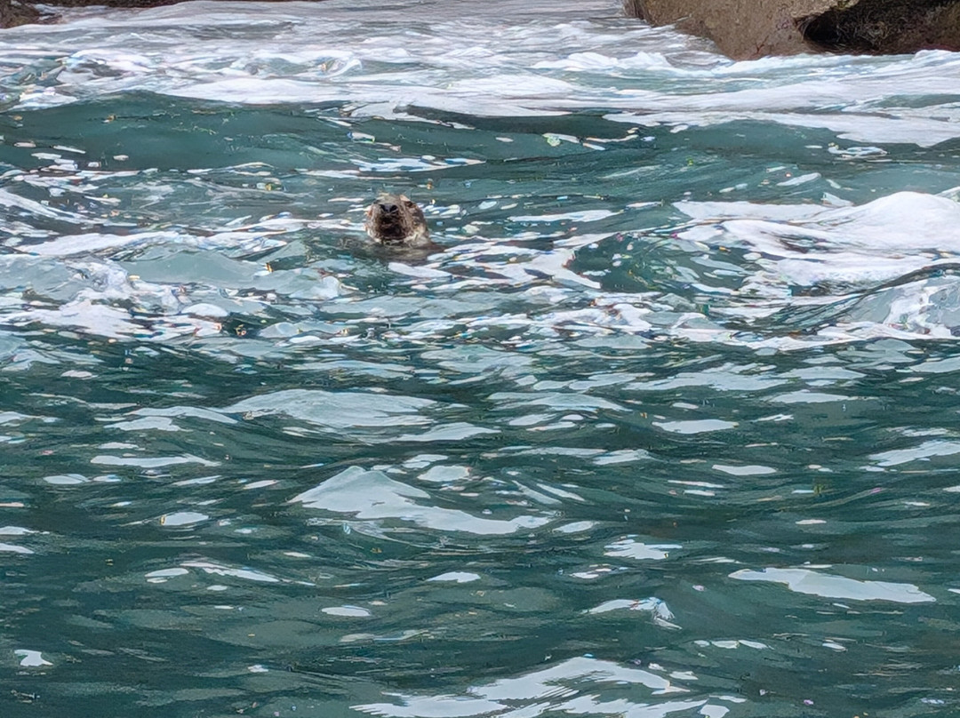 Aquaphobia Ramsey Island Power Boats-St. Davids必去景点