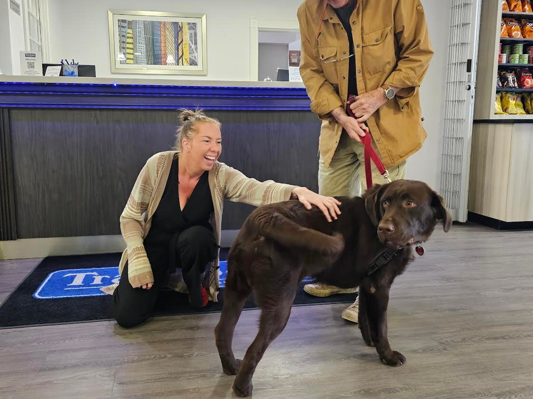 Travelodge Suites Saint John主图