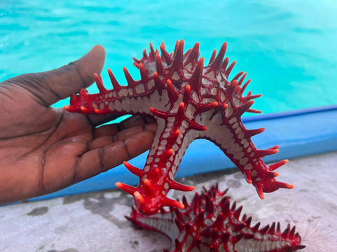 Zan African Tours By Polepole-孥归必去景点