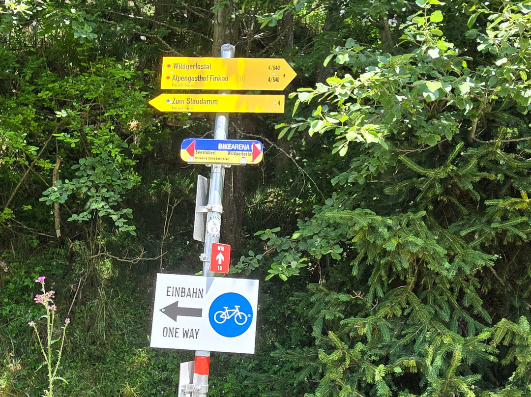 Gletscherblickalm Hochkrimml-克林莫必去景点