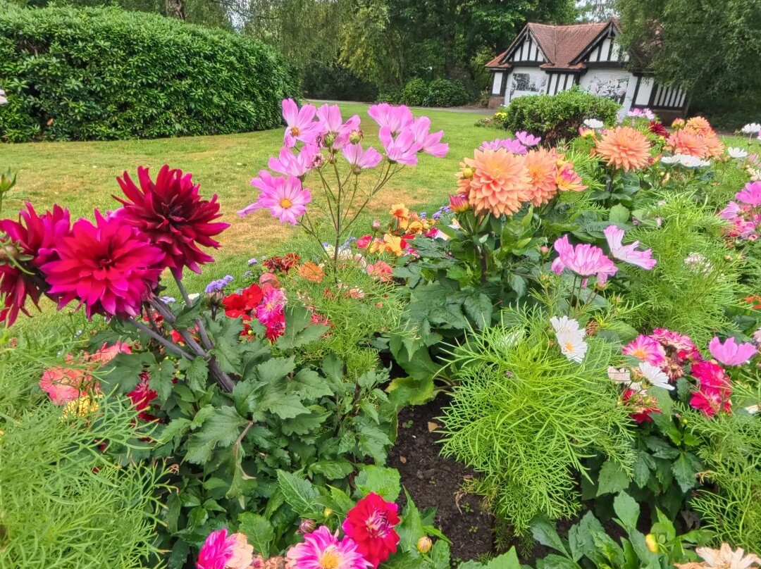 Mesnes Park-威根必去景点