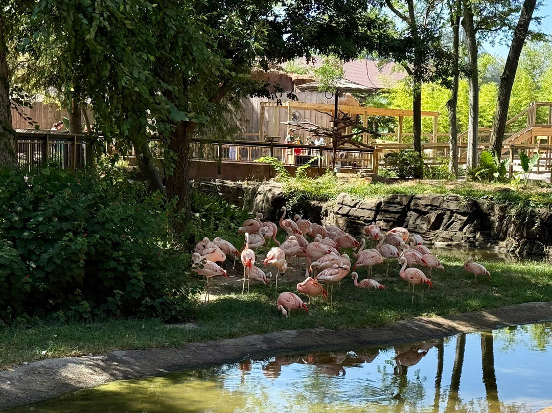 Caldwell Zoo-泰勒必去景点