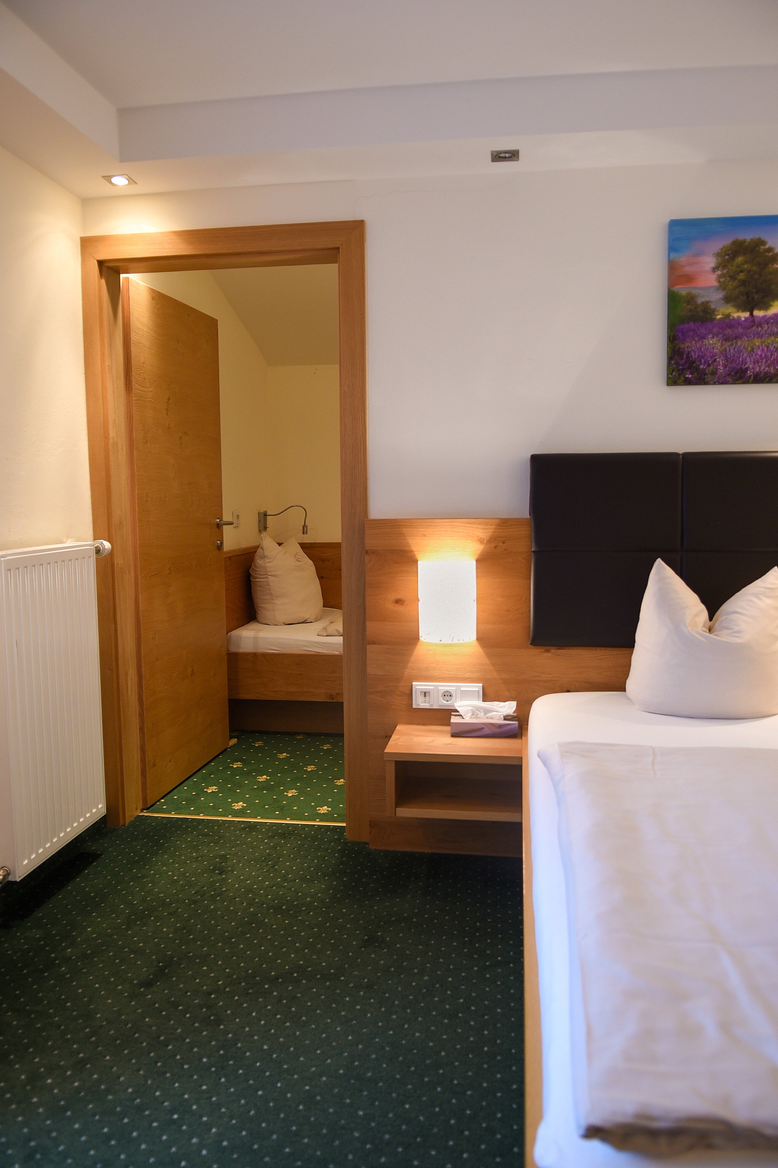 Salzburger Dolomitenhof-客卧