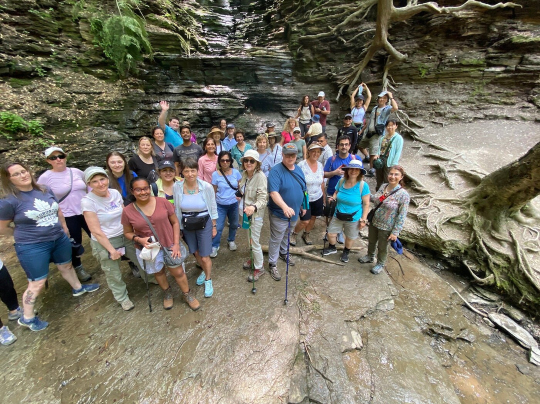 Toronto Fun Tours (Sadaf Holidays Inc.)-康山必去景点