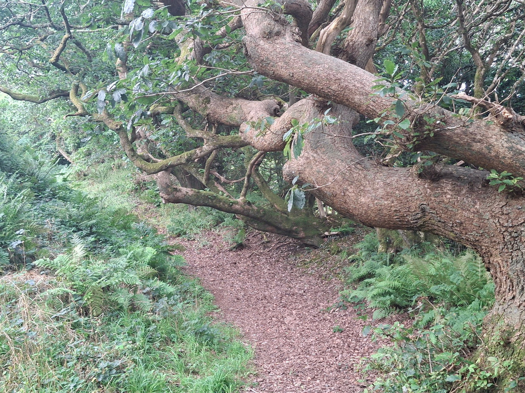 Kilkhampton to Coombe Valley-Kilkhampton必去景点