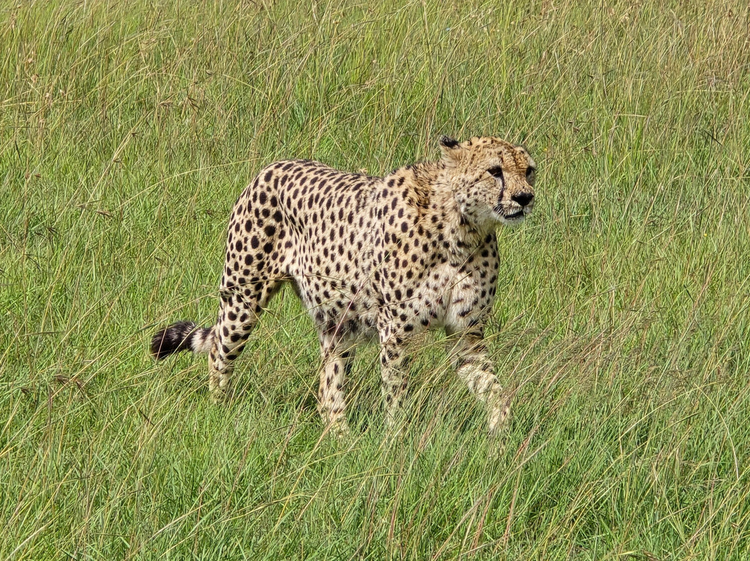 SunUp Adventures-内罗毕必去景点