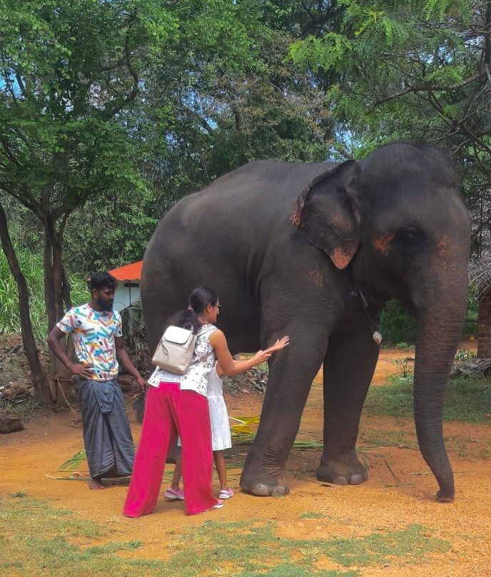 Adventure Travel Sri Lanka-Narammala必去景点