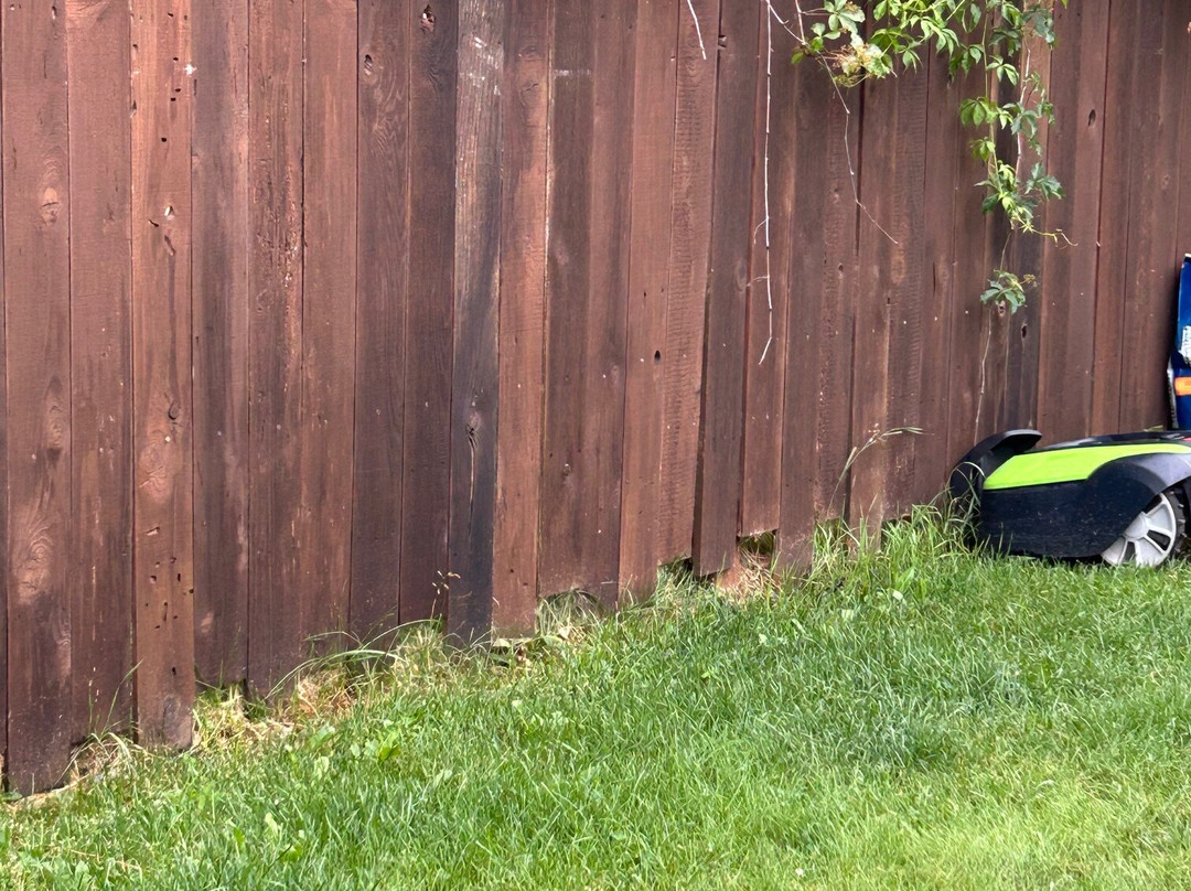 The Islander Inn主图