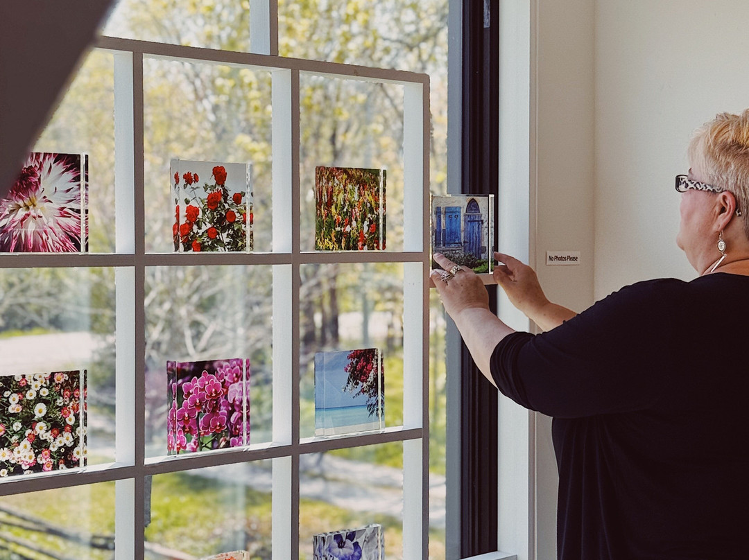 ANDARA Gallery-Bloomfield必去景点