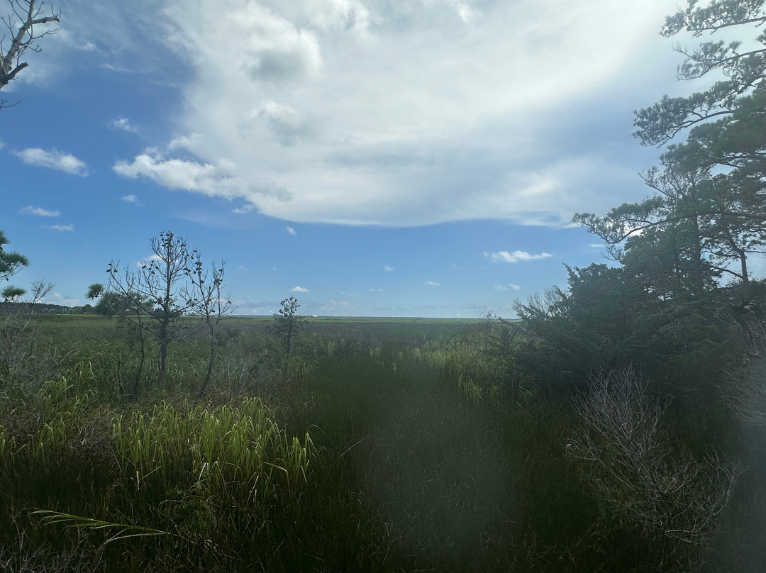 Nags Head Woods Preserve-斩魔山必去景点