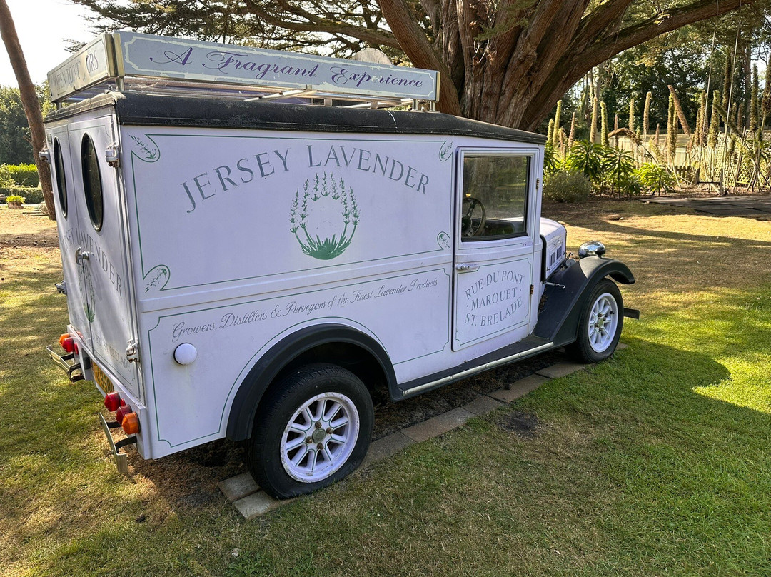 Jersey Lavender Farm-圣布雷拉德必去景点