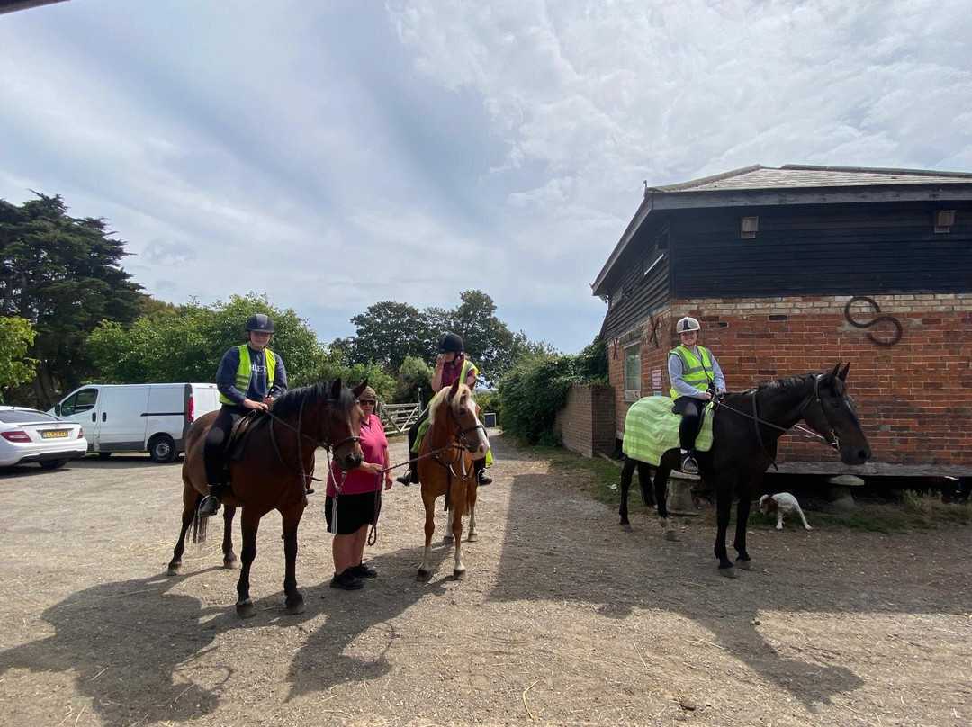 Hill Farm Stables-弗雷什沃特必去景点