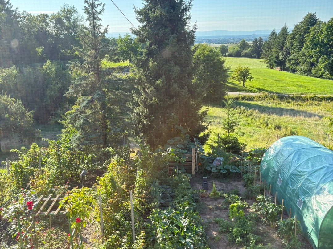 Gästehaus Kaltenbach主图