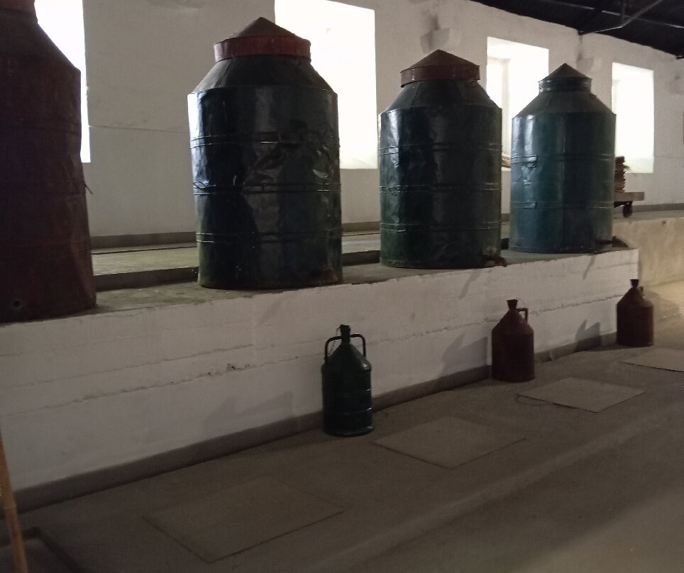Azeite Casa Anadia - Olive Oil & Tours-Abrantes必去景点