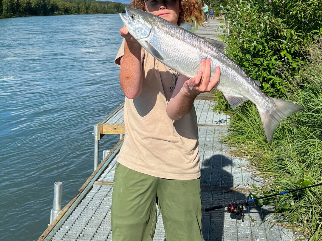 Alaska Fishing Lodge and Soldotna B&B Charters主图