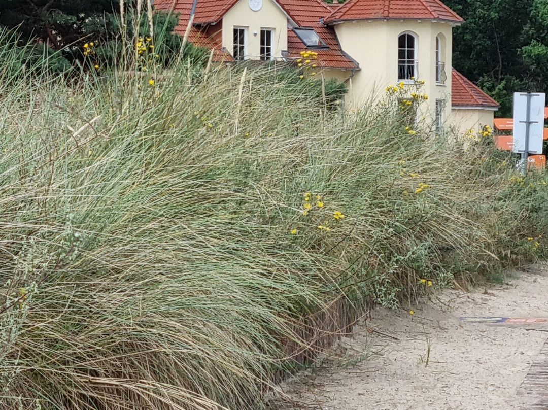 奥斯特布里克酒店