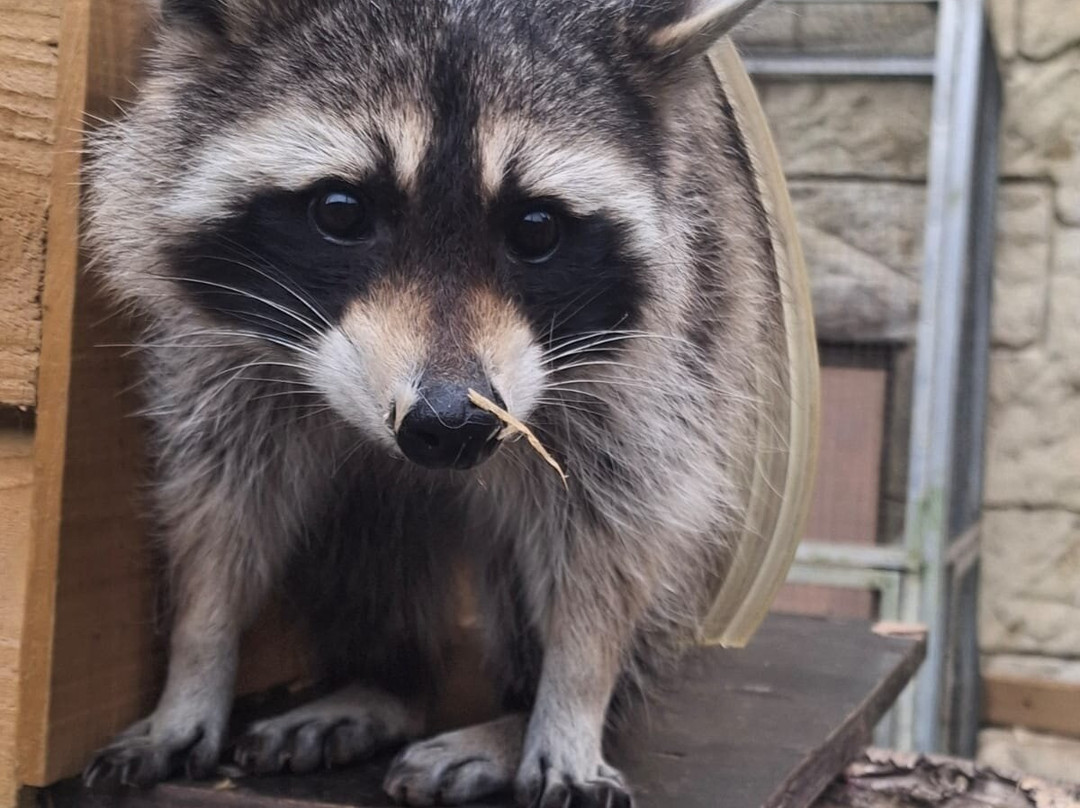 Amazon World Zoo Park-桑当必去景点