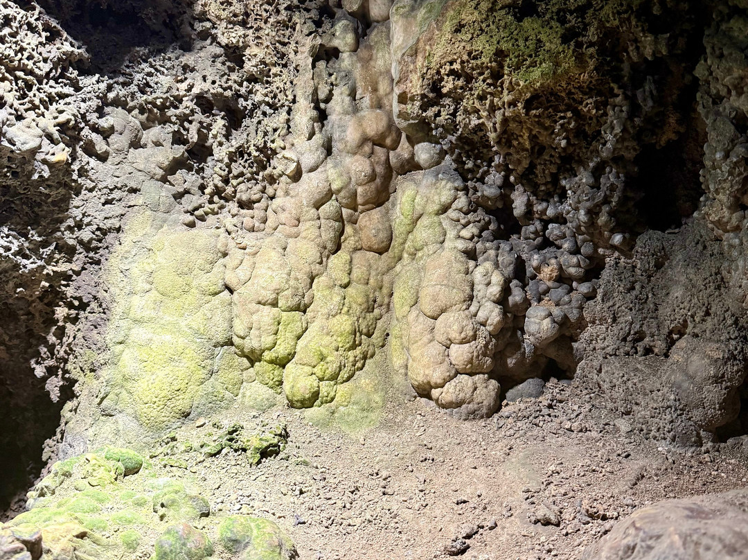 Les Grottes de Villecroze-Villecroze必去景点