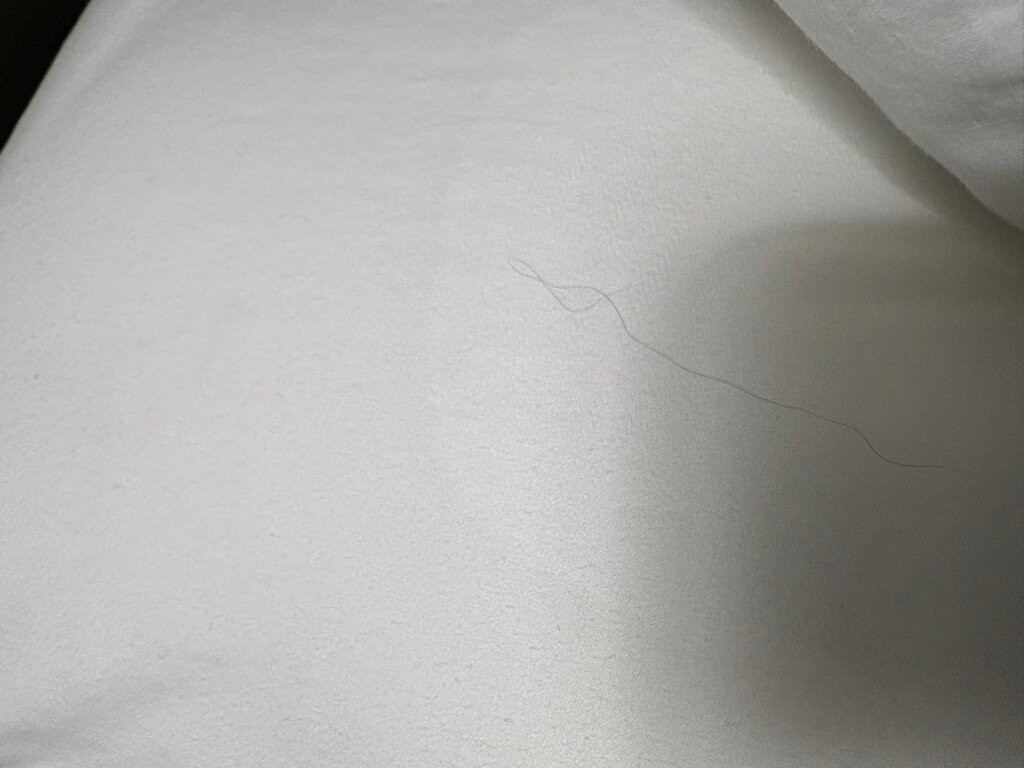 Super 8 by Wyndham Bedford主图