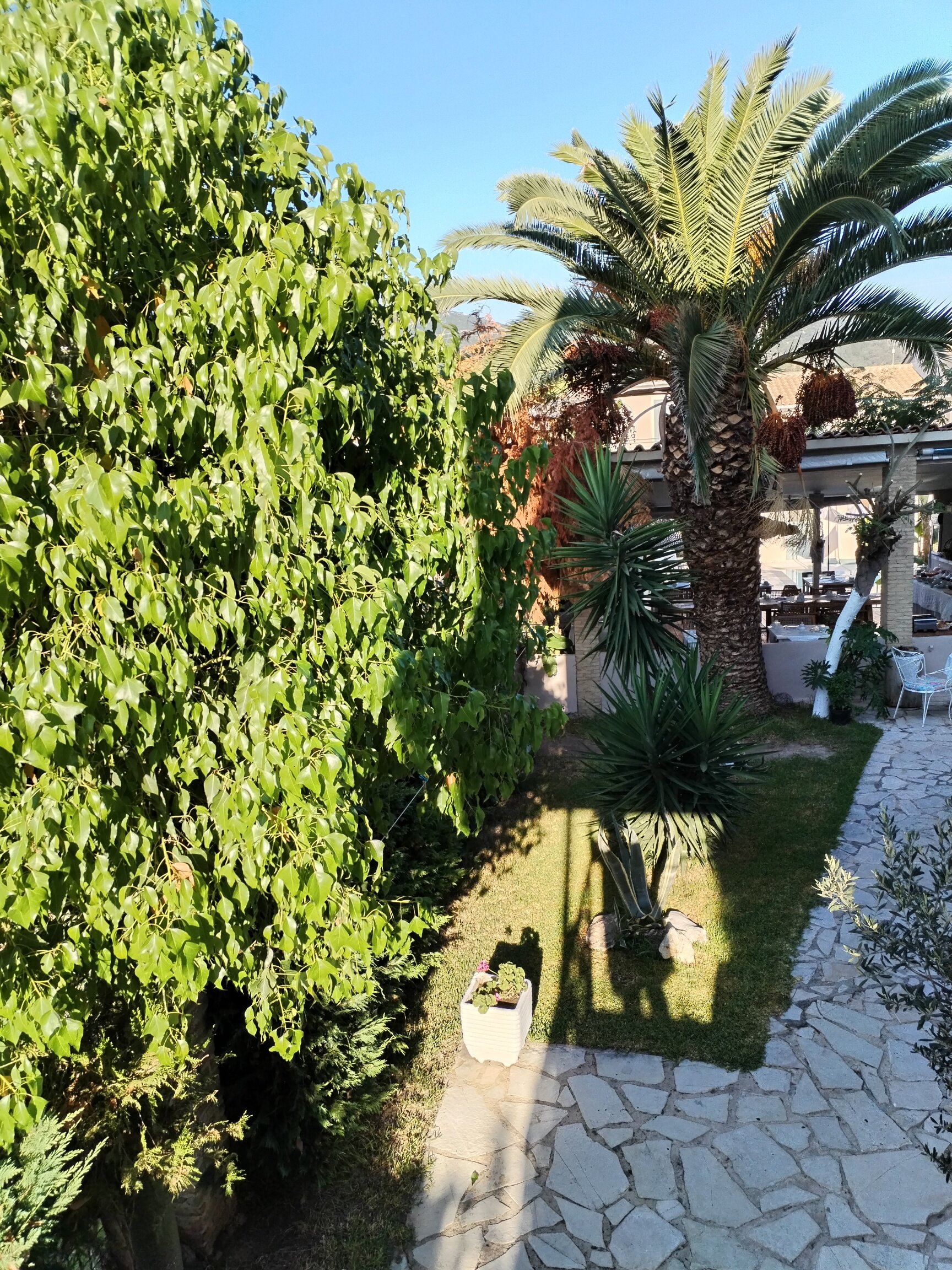 Villa Olga Apartments & Studios-浴室