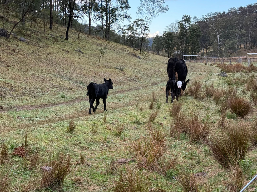 Chapman Valley Horse Riding-Howes Valley必去景点