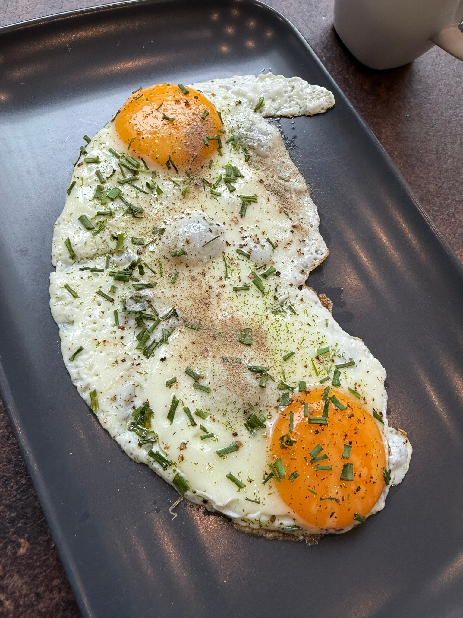 Hotel Du Parc-官方