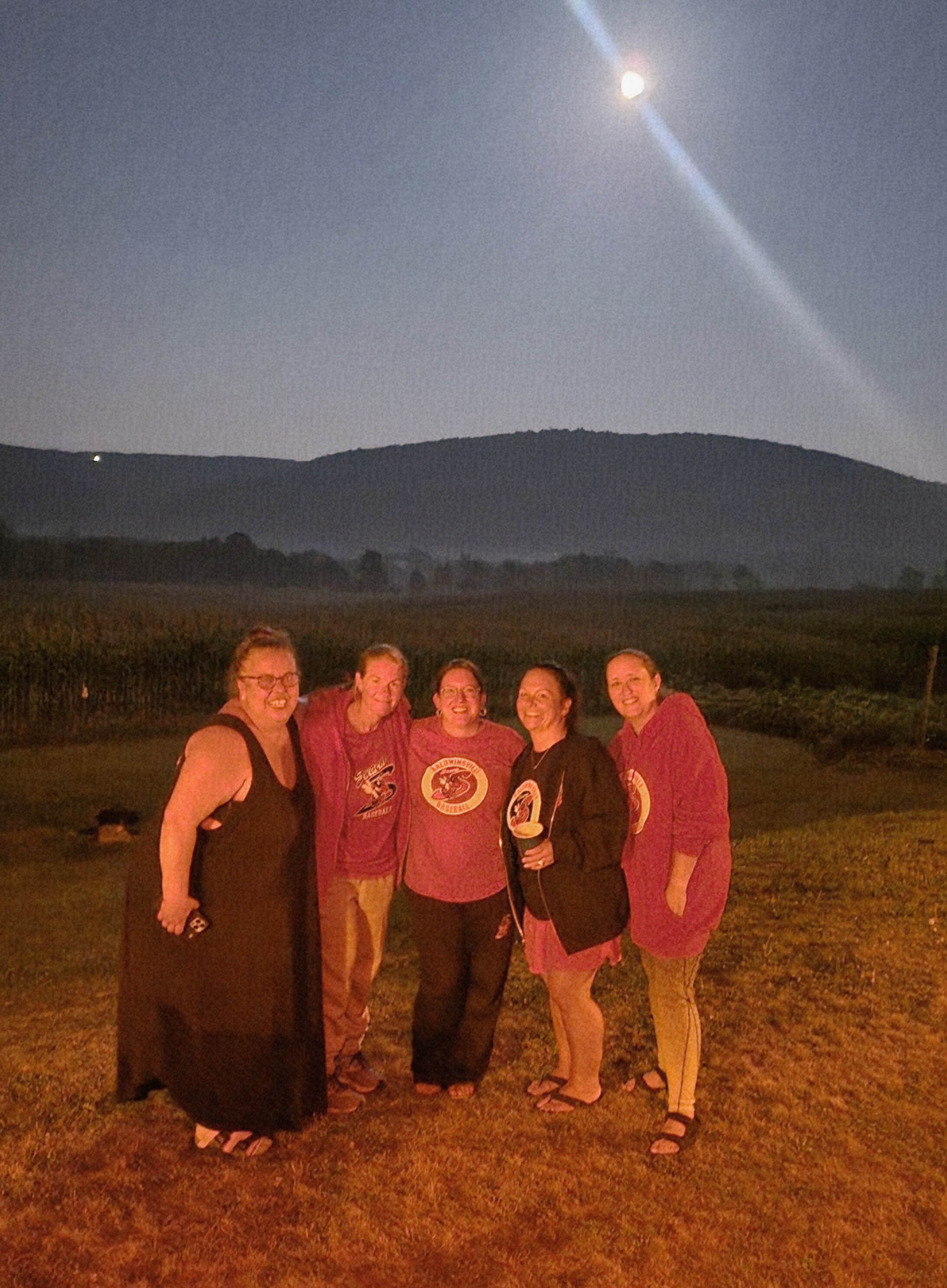 Apple Inn and Suites-官方