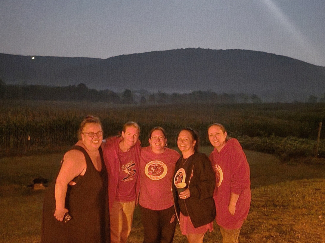 Apple Inn and Suites主图