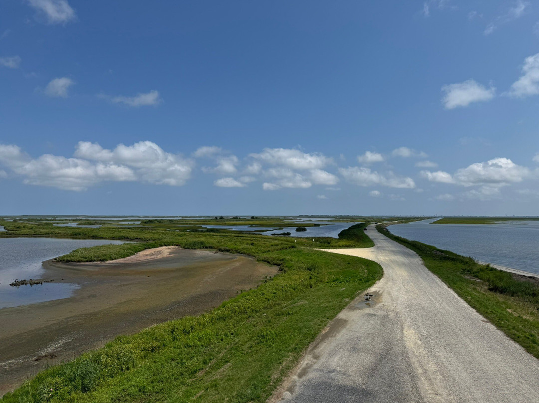 Edwin B. Forsythe National Wildlife Refuge-Oceanville必去景点