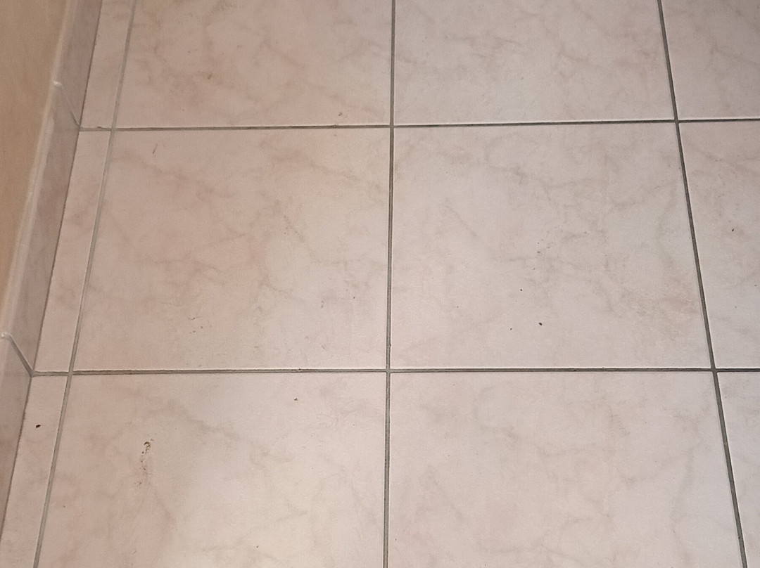 Hotel Acquario主图