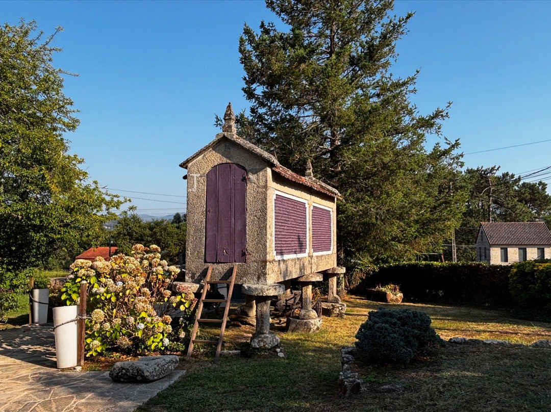 Vinotel 7 Uvas主图