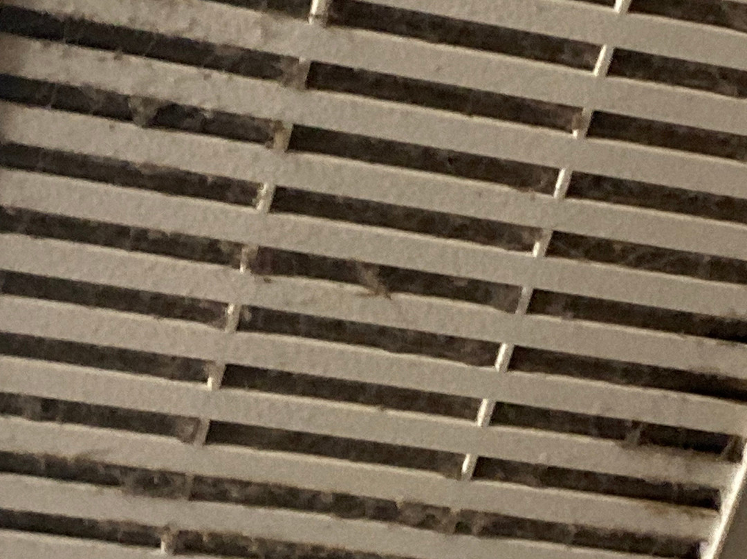 Wingate by Wyndham Athens near Downtown主图