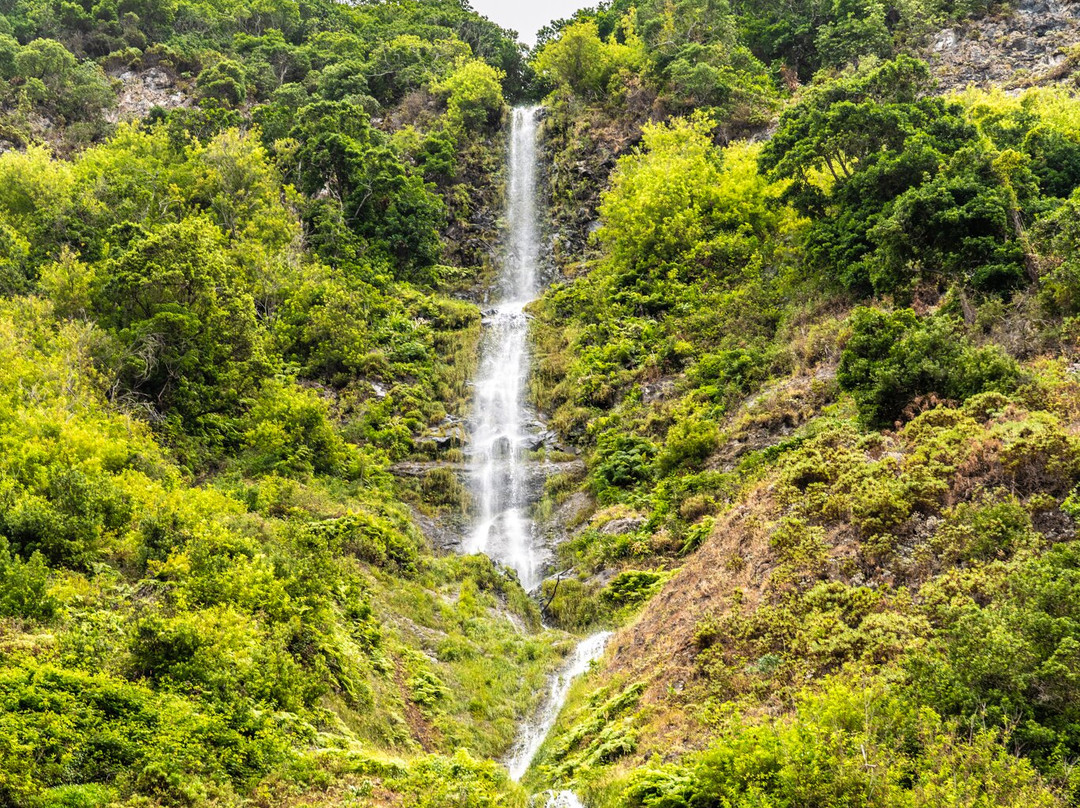 Miradouro Eira do Serrado-Camara De Lobos必去景点