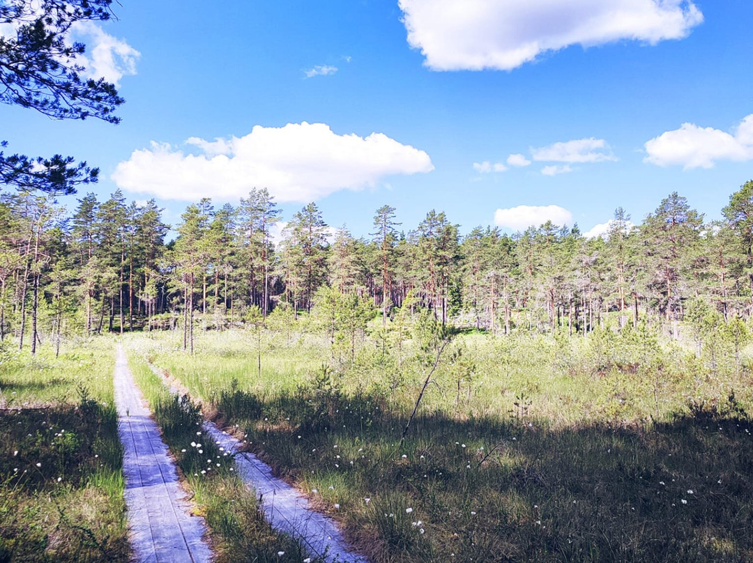 Lappland Naturreservat-Skinnskatteberg必去景点