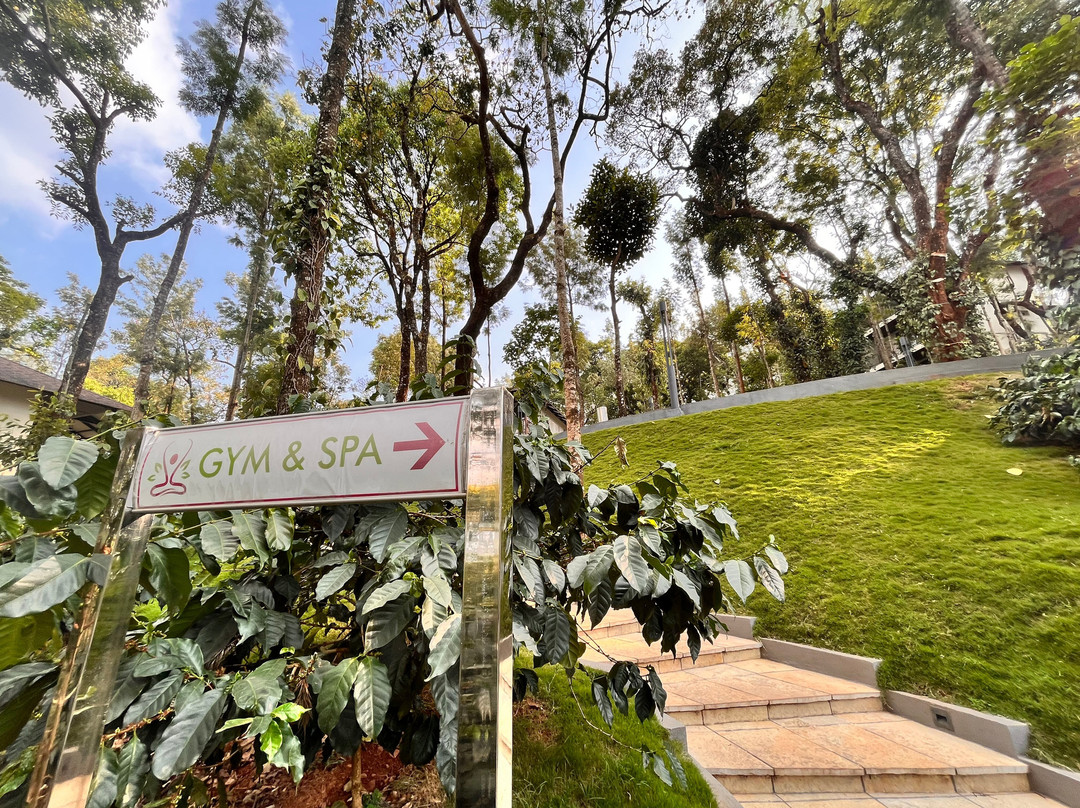 The Silver Sky Hotels And Resorts