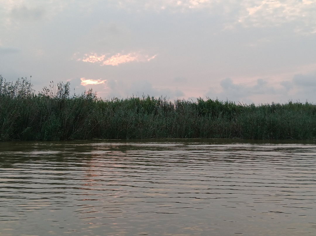 Embarcadero "El Tío Pastilla"-El Palmar必去景点