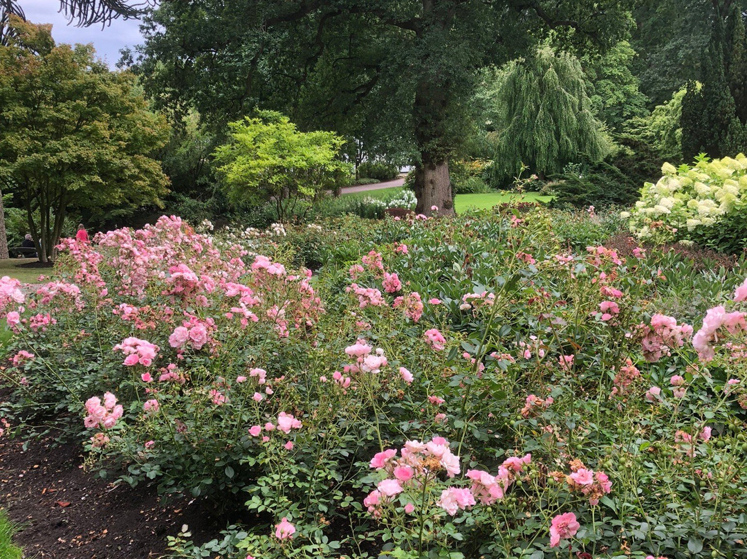 Hodnet Hall Gardens-Market Drayton必去景点