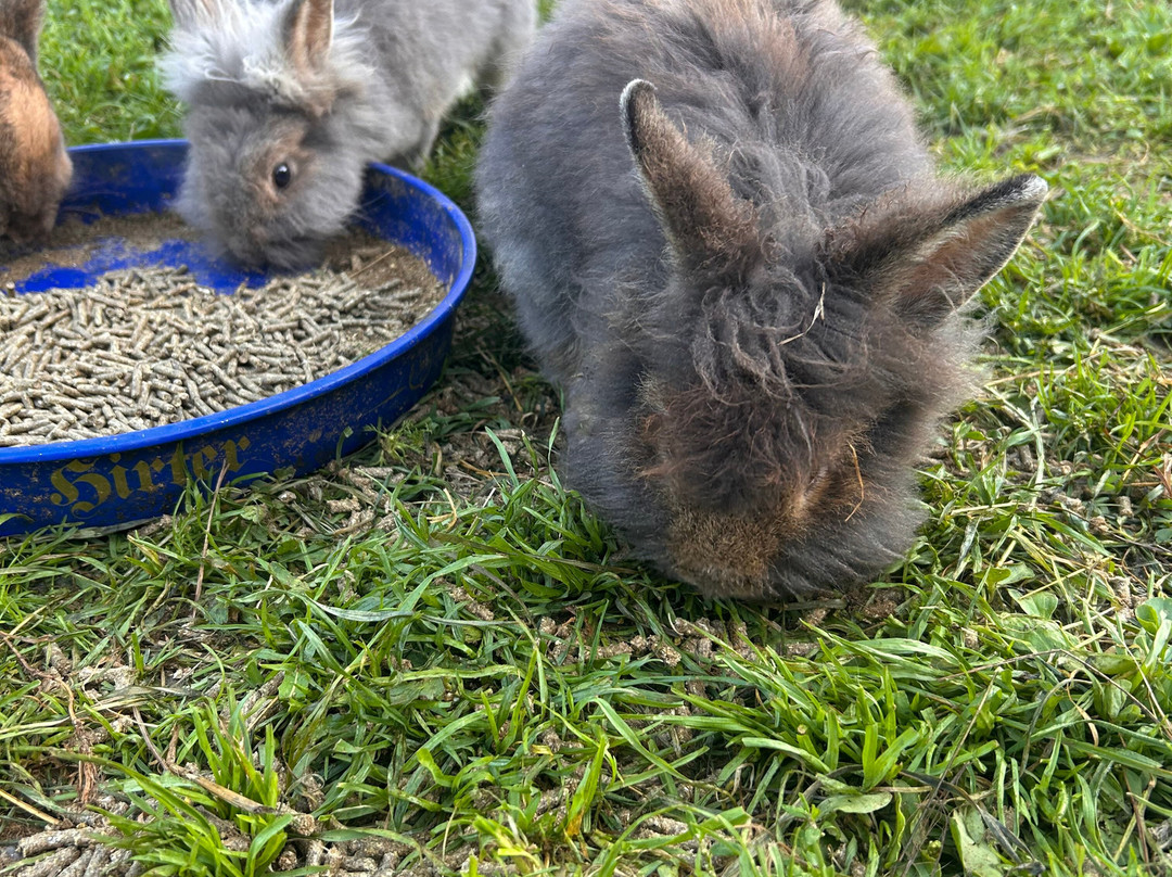 Familienhotel Gasthof Hinteregger主图