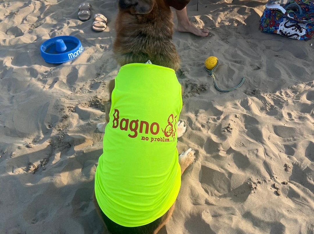 Rimini Dog No Problem - Bagno 81-里米尼必去景点
