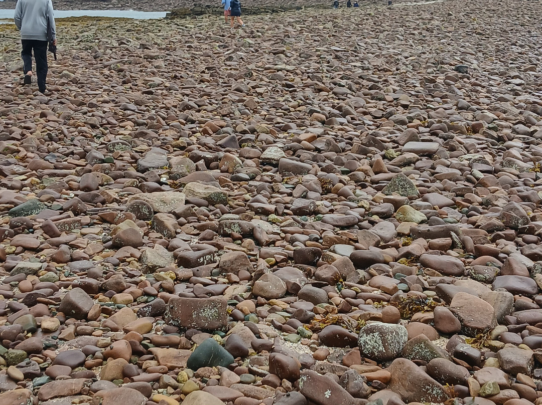 Îlot Saint-Michel-Erquy必去景点